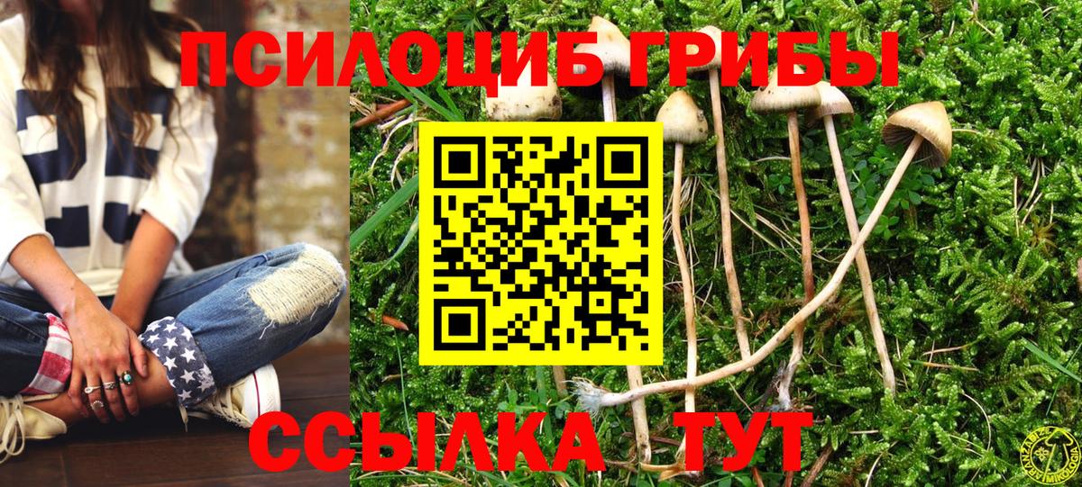 Галлюциногенные грибы GOLDEN TEACHER  как найти закладки  Ливны  Вход с VPN  Галлюциногенные грибы Magic Shrooms 
