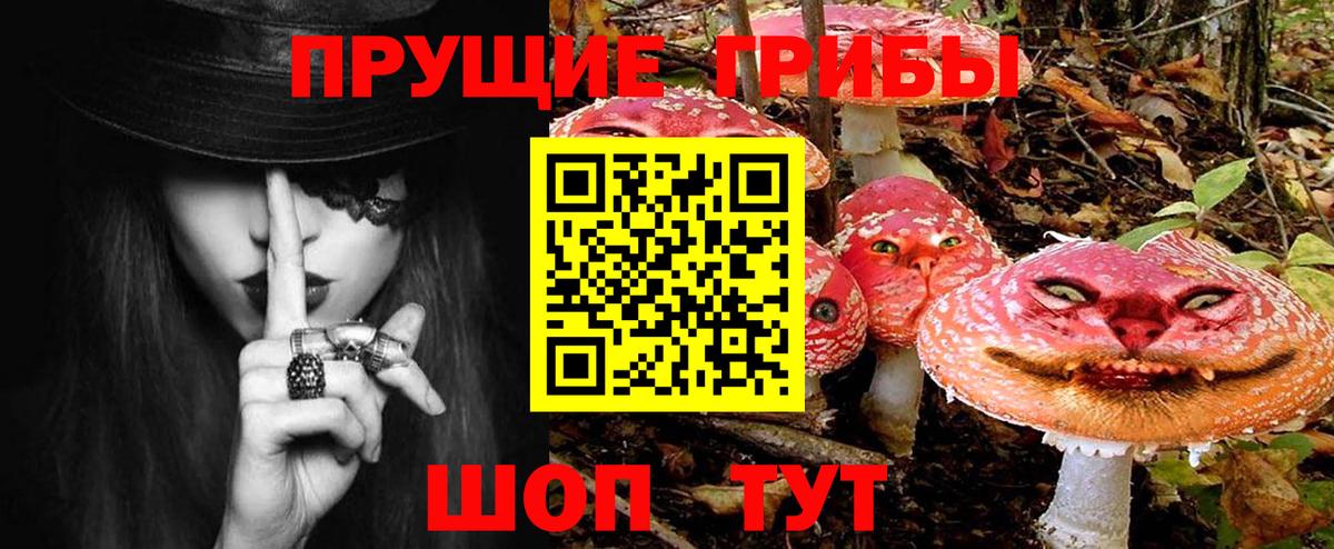 Псилоцибиновые грибы Magic Shrooms Ливны